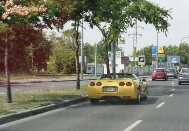 corvette nekem8