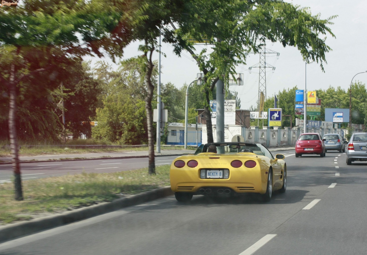 corvette nekem8