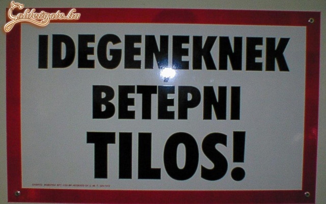 Picsába :D