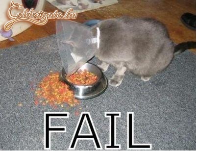 Fail