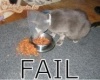Fail