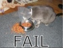 Fail