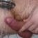 Kedvencem