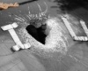 I love you I love you