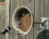 Antenna