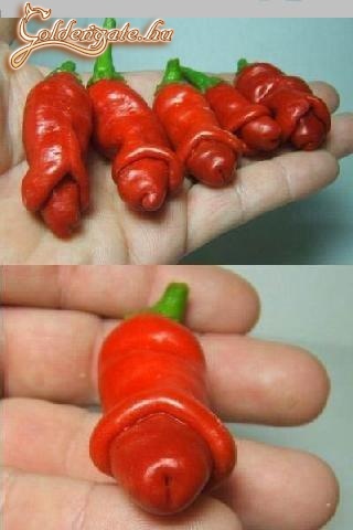 Paprika