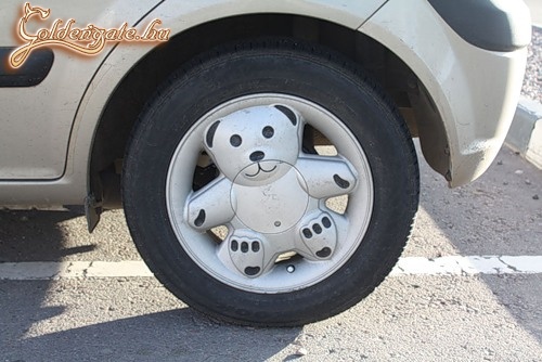 teddy bear