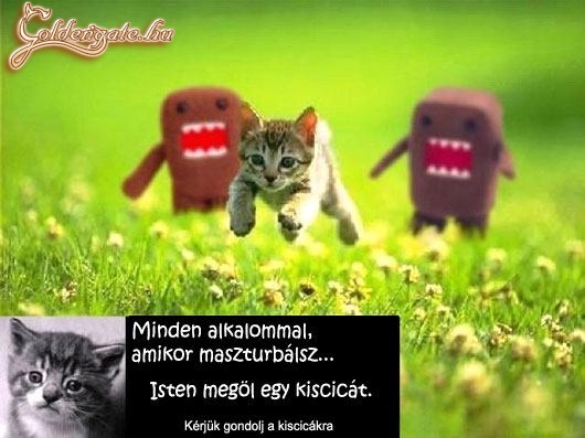 gondold át mit teszel...