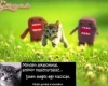 gondold át mit teszel...