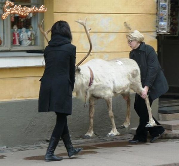 Na, ezt rakjuk arrébb!