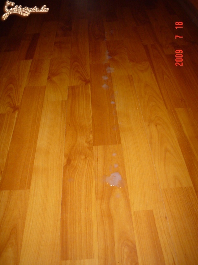 megint egyedül este - 16. kép