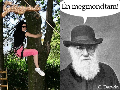 Darwinizmus