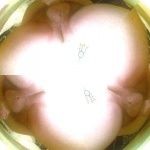 Vegyes izgalmak... - 2. kép