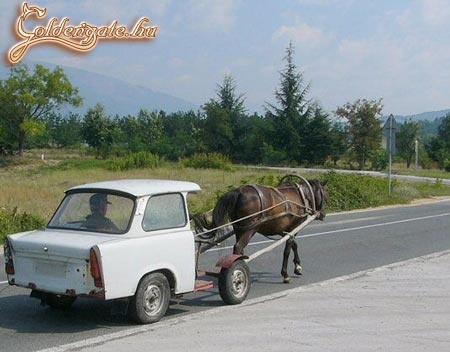 Trabant riszájkling bín