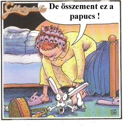 Élnézte