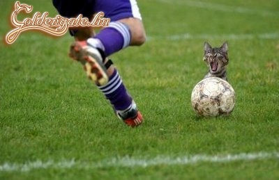 Ajjajj