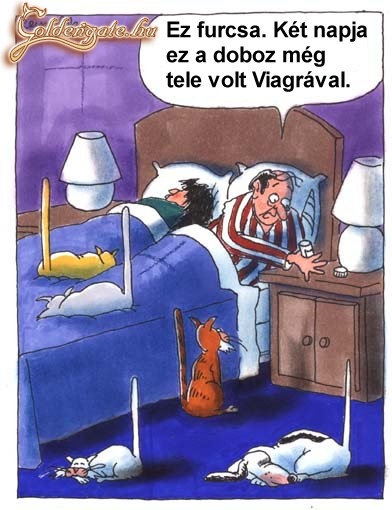 viagra