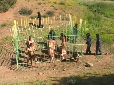 A majmok fogságában