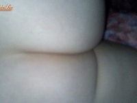 fishbed21