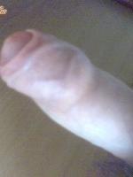 koltai