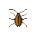 edmondx