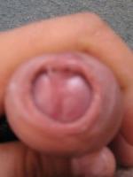 josh99