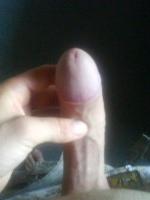 sanyi198410