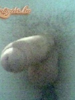 focipasi