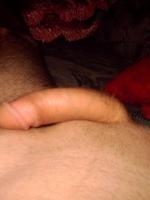 Pittpull