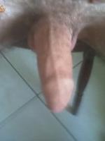 zasha
