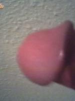 Gero19
