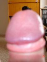Zoli_19