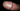 miskolci69
