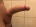 Minden_Aron