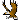 janket38