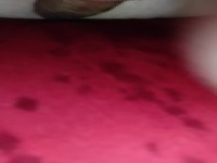 Cuckold79