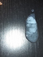 Vaginalover1939