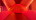 EvelynRoe