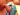 Partyman3456