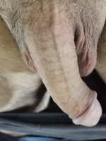Morg1n