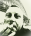 Oppenheimer