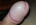 Arpibi