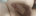 cumshot33 cumshot33