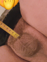 MiniTom2cm