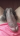 ajhound