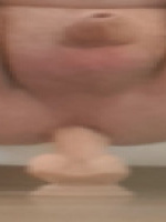 Bipasi84
