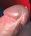 Pistii76 Pistii76