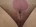 wifeshare1