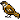 podrig