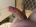 Adam34